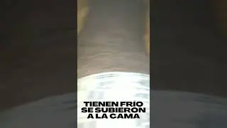 las bendiciones tienen  frío y se subieron