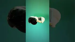 Надувные Apple Vision PRO