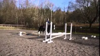 Thopp2