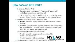 Using Supplemental Needs Trusts To Retain Public Benefits   Part 1