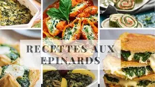Compilation de recettes gourmandes et variées aux épinards