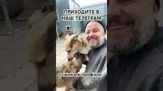 Спасибо за поддержку 