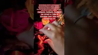 СИЛЬНО, СИЛЬНО, СИЛЬНО !!! ОН ХОЧЕТ К ТЕБЕ !!! ПОЧЕМУ??? 