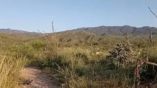 The Great Wide Open (Dave Stamey) ~ Senoran Desert Seranade #5