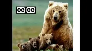 Lyle Lovett - Bears - open captioned