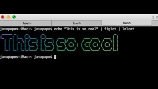 How to Set kali linux Terminal Title