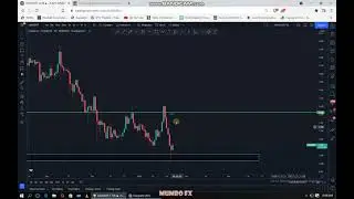 CARDANO-ADA #crypto