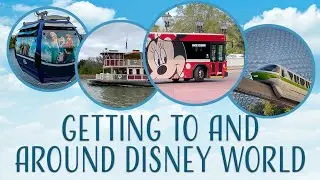 Getting to and Around Walt Disney World