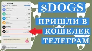 DOGS ПРИШЛИ В КОШЕЛЕК ТЕЛЕГРАММА