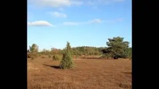 Heidschnuckenweg - Lüneburger Heide