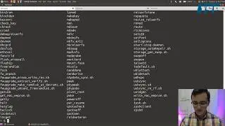 LIVESTREAM: Walkthrough on Running Arbitrary Commands on the ZyXEL NSA325v2