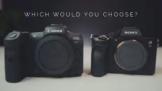 Sony A7Siii vs Canon R5!