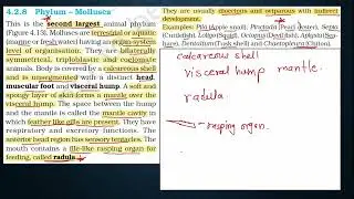 NEET Biology Series | U1C4 | PART 4 | Animal Kingdom | The Living World | NCERT | मराठी
