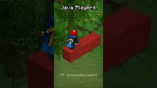 Java vs Bedrock Bridging in Minecraft