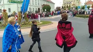 Móri Bórnapok 2017 2.0