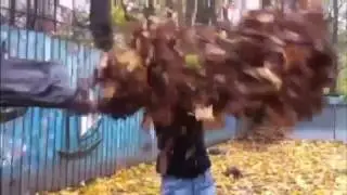 Рубрика опыт:Вещи в разрезе-NS