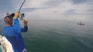 Light tackle fishing for Permit