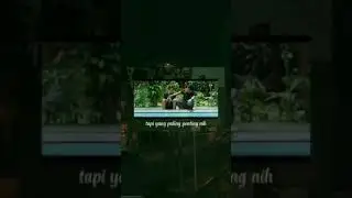 ingat pesan ayah 