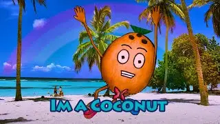 I'm not a boy 👦 - I'm not a girl 👱‍♀️ - I'm a 🥥 | Song: I'm a Coconut - Coconut Hen | #imacoconut