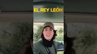 🐆🐅 RODEADO de ANIMALES SALVAJES 🦏🦛 Safari Fotográfico por el Mundo 🌍 Parte 6 #shorts