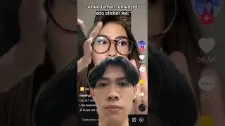 P Adu stiker WA