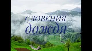 Словения дождя