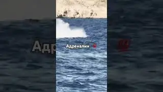 Экстрим лодка за 30 долларов, прокатит с ветерком #travel #speed #море #лодка #экстрим  #top