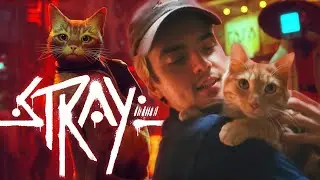 Stray - Part 1 | Computer Time With Miles