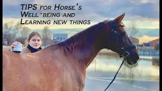 Tip of The Day + Behind The Scenes of Filming HorseRelaxe Equine Massager | LanaZavada