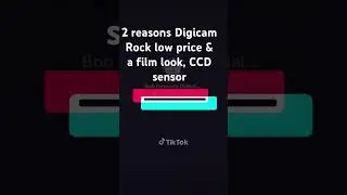 2 reasons Digi cameras rock low price and film look CCD Sensor film look