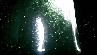 Продолжения про повилион в экспо