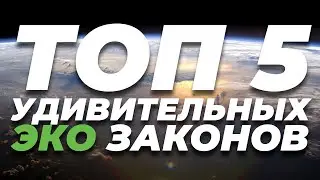 ТОП 5: Самые удивительные законы по охране окружающей среды в разных странах