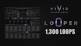 "VIVID" Walkthroughs #3 - LOOPER KONTAKT MODULE - 80 Construction kits - 1,300 Loops, All On Board!