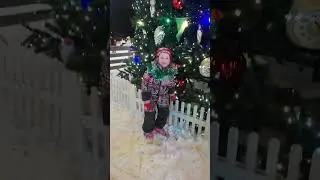каток 3.01 елагин остров(1)