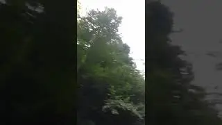 Река Курджипс. Вид окружающей местности выше первого порога после спуска в ущелье. Поселок Мезмай