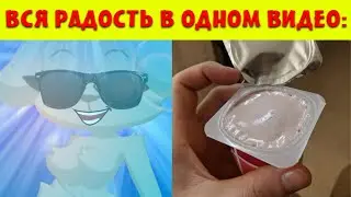 Радостные лица Беллы (Вся радость в одном видео)
