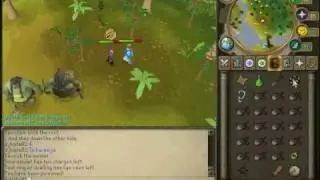 lvl 3 clue scroll reward