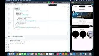 10 - FLUTTER - PROJECT 1 - Displaying photos
