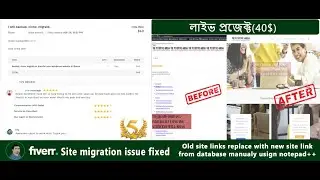 fiverr live project 2022  |  site migration issues