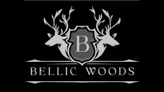 Novidades Bellic3D, agora com BellicWoods nova linha Coronha em Madeiras Nobres