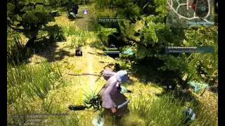 [Alpha] Black desert online test Wizard (mage)