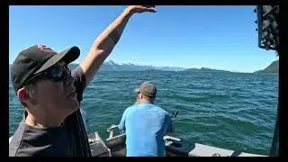 Fishing for Alaska Salmon