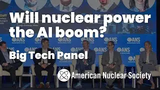 Will nuclear power the AI boom? Big Tech panel at American Nuclear Society