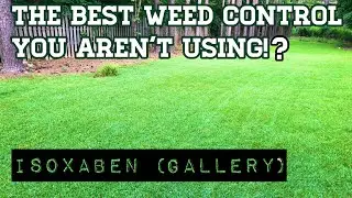Best way to PREVENT BROADLEAF WEEDS in your lawn? | Isoxaben (Gallery) Pre-Emergent