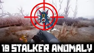 I FOUND TOM AND JERRY! - STALKER Anomaly - Episode 19