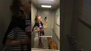 Меня никто не спасёт🥲тгк:@elmonako#vlog#влог#shorts#шортс#утреннее#психология#взрослаяжизнь#собака