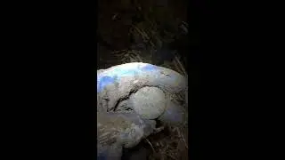 VID ночной коп Ярославская область