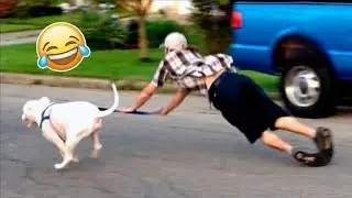 Best Funny Videos Of The Week- TRY TO LAUGH 😃😀 // Best Funny Memes Video 😆🤣