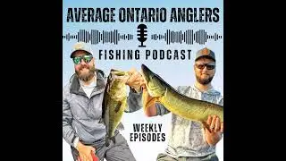 Find Fall Bass Feat. Bobby Belmonte