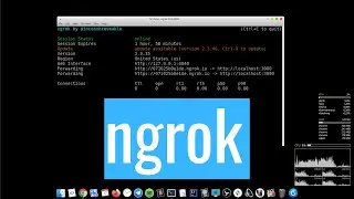 Ngrok - expose localhost to the public internet
